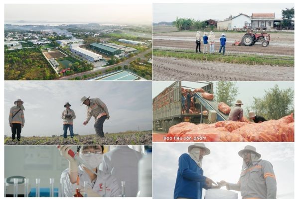 Khung hình đẹp phim CP SEED Tây Ninh